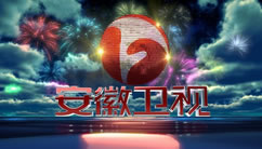 安徽卫视在线直播